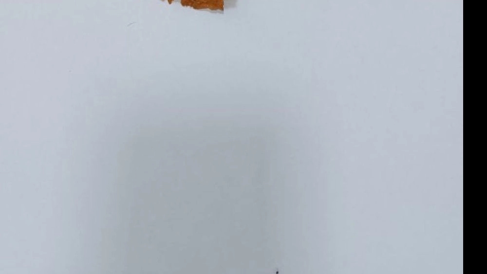 تست ۱۷
